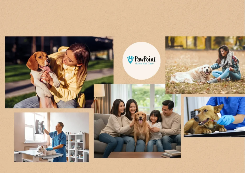 Compassionate Calgary Pet Euthanasia Services for Peaceful In-Home Goodbyes