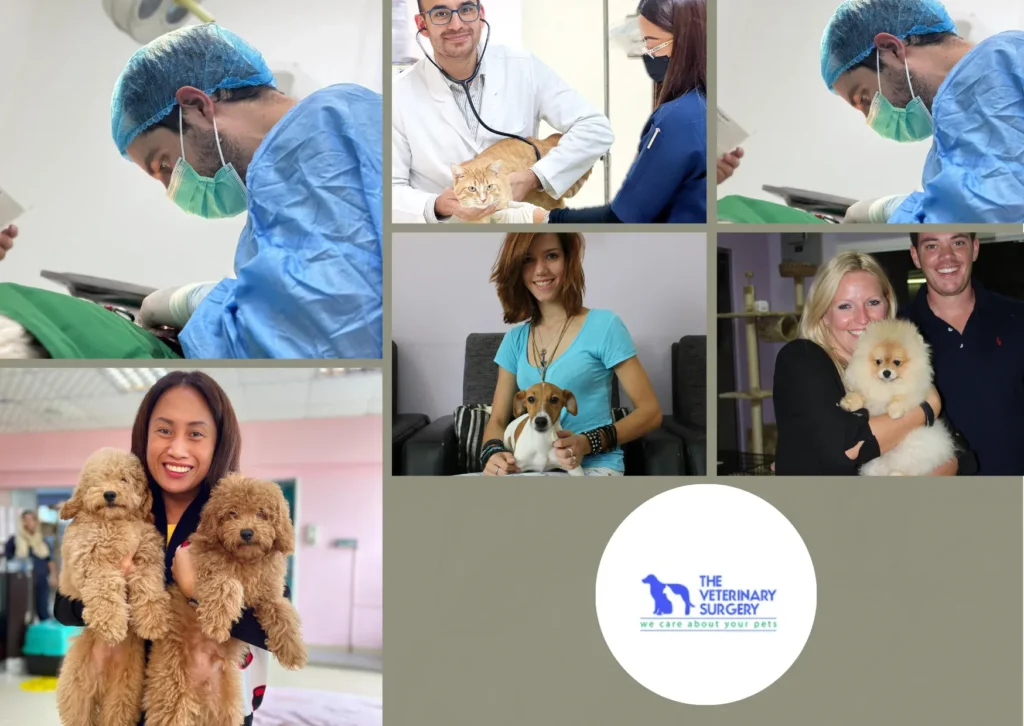 Expert Vet Center Qatar Services for Advanced Pet Care and Compassionate Treatment